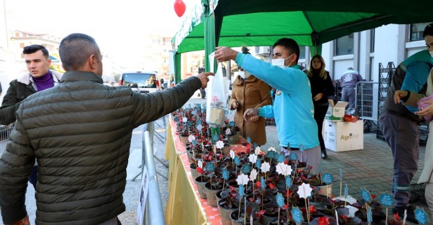 Alanya Belediyesi'nden 14 Şubat Sürprizi 10 Bin Çiçeğin Dağıtımına Başlandı