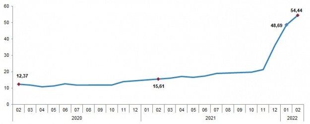 Tüketici Fiyat Endeksi (TÜFE) Yıllık %54,44, Aylık %4,81 Arttı