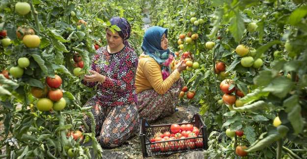 Alanya Belediyesi 16.Ulusal Fotoğraf Yarışması Sonuçları Açıklandı