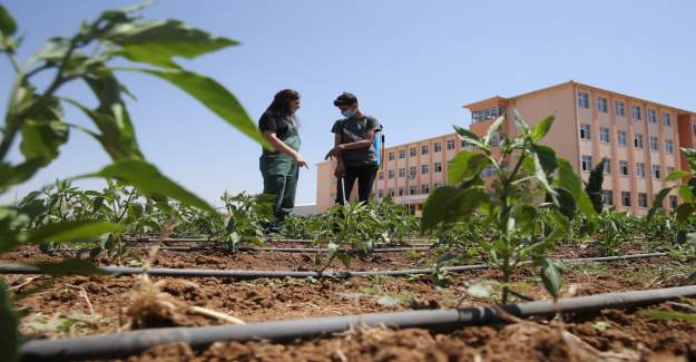 Tarım Liseleri Dünyadaki En İyi Model Uygulamalarla Yeniden Şekillendirilecek