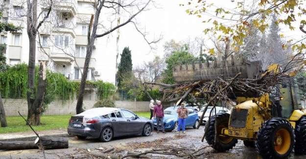 Muratpaşa Ekipleri Sahada