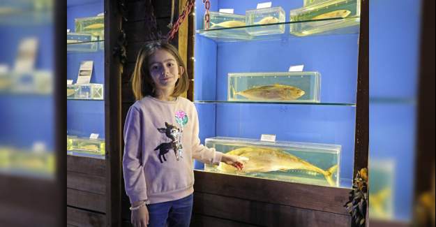 Deniz Biyoloji Müzesi’ndeki Balıklar Yenilenecek
