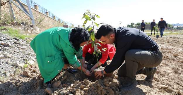 Dayanışma Ormanının İkincisi Alkü'de Oluşturuldu