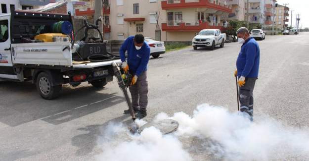 Sineksiz Yaz İçin Yoğun Mücadele