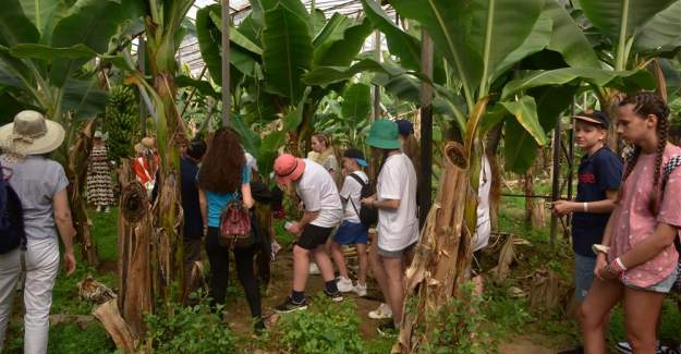 Kardeş Şehir Çocuklarına Alanya'nın Tropikal Meyveleri Tanıtıldı