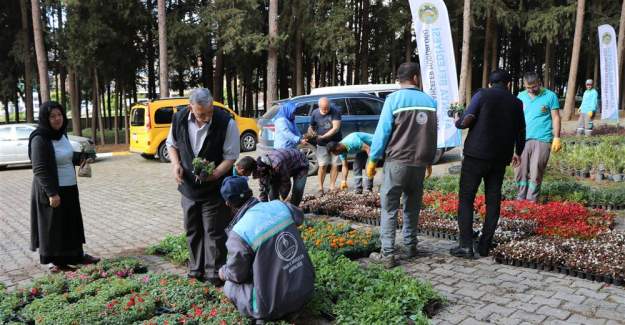 Alanya Belediyesi Kurban Bayramı'nda Ücretsiz 60 Bin Çiçek Dağıtacak