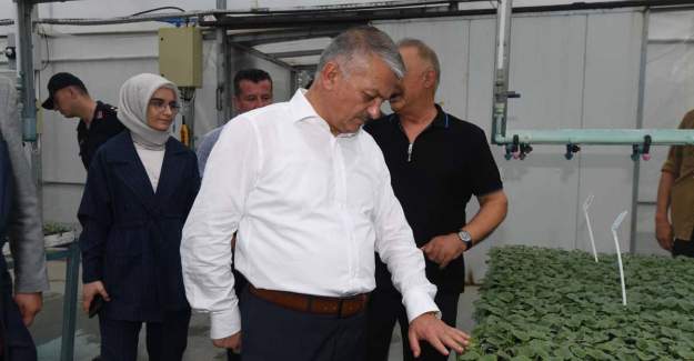 Antalya Fide Üretiminde Tüm Dünyaya Hizmet Ediyor