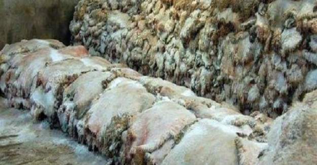 Kurban Derileri Deri Sanayimizin %20'sini Karşılıyor