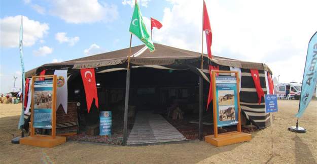 2. Uluslararası Yörük Türkmen Festivali'nde Alanya'nın Kültürel Mirasları Tanıtıldı