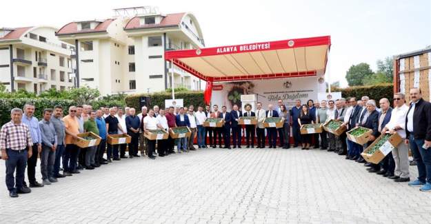 Alanya Belediyesi'nden Kırsal Mahallelere 311 Bin Adet  Fide Desteği