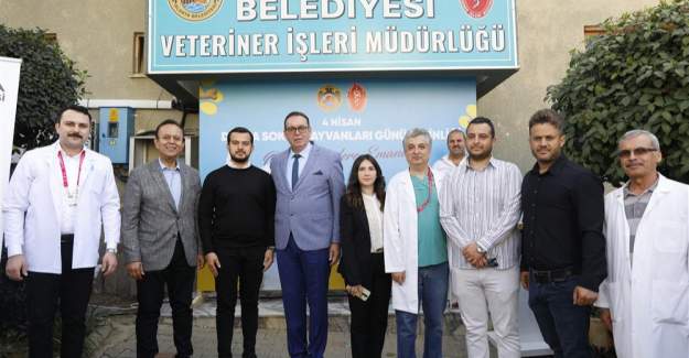 Alanya Belediyesi'nden Sokak Hayvanları İçin Anlamlı Etkinlik