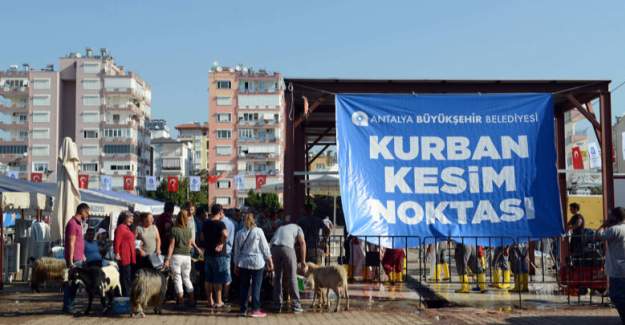 Büyükşehir’den Üç Noktada Ücretsiz Kurban Kesimi