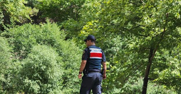 Ormanlık Alanlarda Yangın Denetimleri Yapıldı