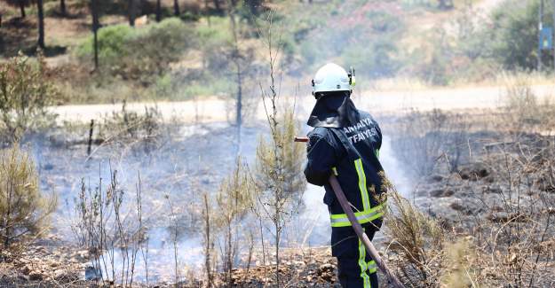 Antalya'da Kavurucu Sıcaklarda Orman Yangınları: 3 Bölgede Eş Zamanlı Müdahale