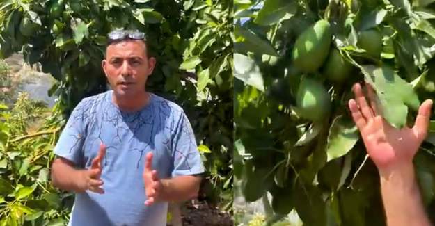 Göktepe’den Yerli Avokadoya Sahip Çıkma Çağrısı