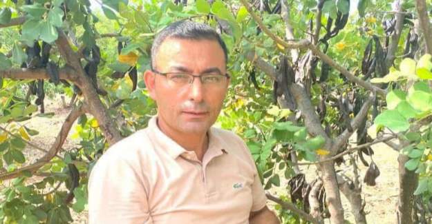 Ziraat Odası Başkanı Göktepe’den Harnup Hasadı Uyarısı