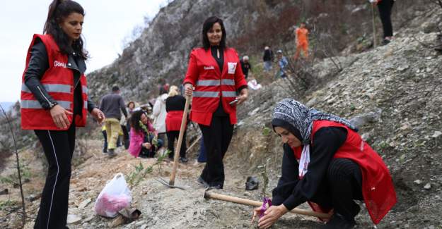 Fidanlar Kadınlar İçin Toprakla Buluştu