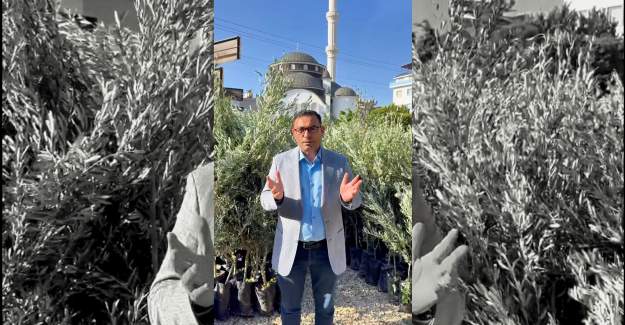 Sertifikalı Meyve Fidanları Satışa Sunuldu: Başkan Göktepe’den Üreticilere Davet