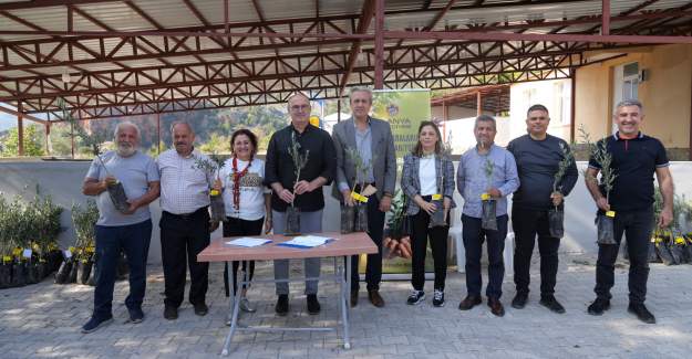 Yangın Yaralarına Zeytinli Destek:Alanya Belediyesi Yaylakonak’a Zeytin Fidanı Dağıttı