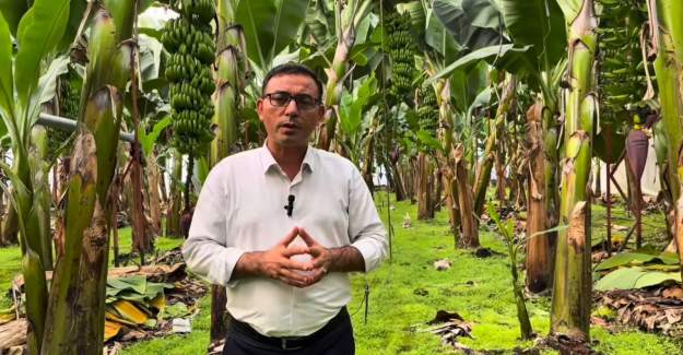 Yerliyken İthal Muz Olmaz