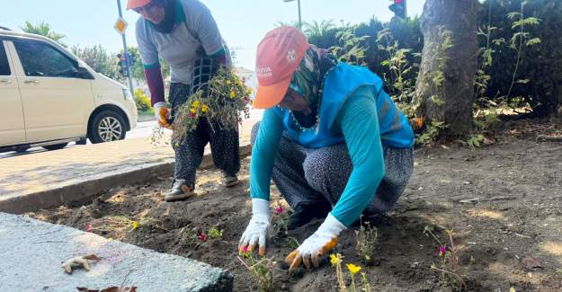 Kadınlar Alanya’nın Yeşil Alanlarını Güzelleştiriyor