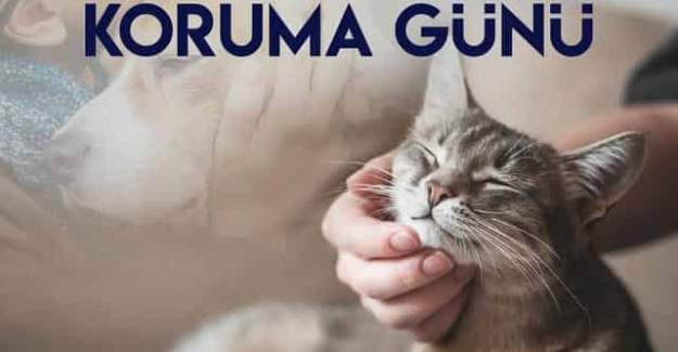 Başkan Özçelik’ten Hayvanları Koruma Günü Mesajı