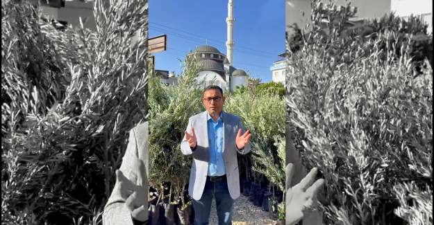 Sertifikalı Meyve Fidanları Satışa Sunuldu: Başkan Göktepe’den Üreticilere Davet