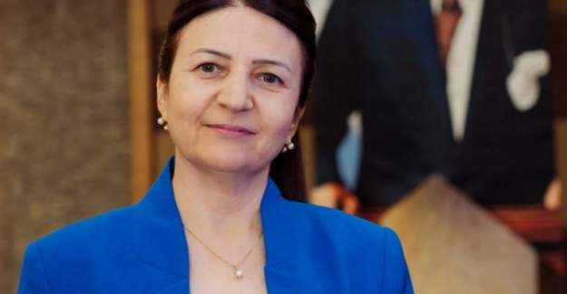 Gaye Coşkun: 10 Ocak Kutlama Değil Dayanışma Günü