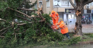 Antalya Büyükşehir Belediyesi Her Yerde