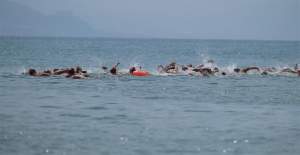 Alanya Uluslararası Açık Su Yüzme Yarışmaları Yapıldı