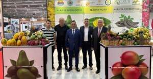 Alanya Tropikal Ürünleri Interfresh...