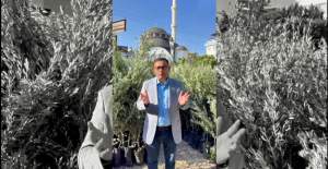 Sertifikalı Meyve Fidanları Satışa Sunuldu: Başkan Göktepe’den Üreticilere Davet