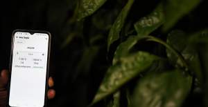 Antalya#039;da Üreticinin Don Nöbetine...