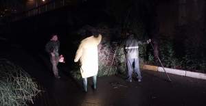 Alanya'da Gece Mesaisi:Belediyeden Yağış Müdahalesi