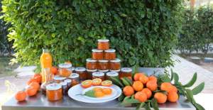 Reçel Kavanozunda Hayat Var